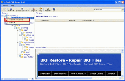 Select the BKF File